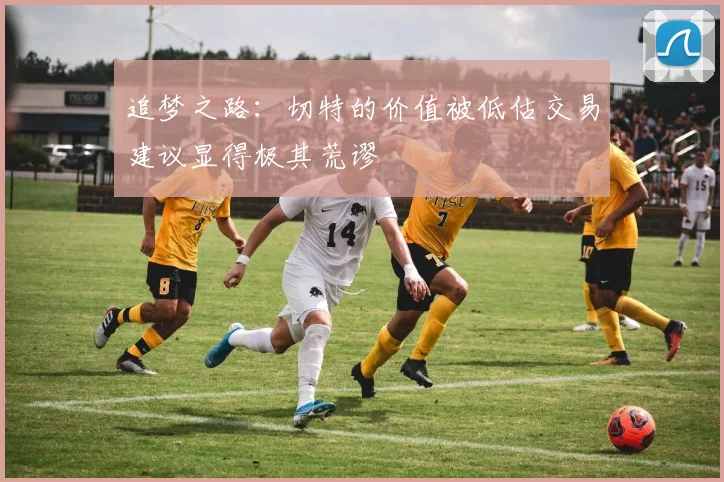 追梦之路：切特的价值被低估交易建议显得极其荒谬
