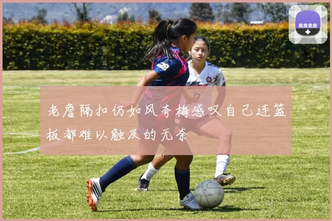 老詹隔扣仍如风夸梅感叹自己连篮板都难以触及的无奈