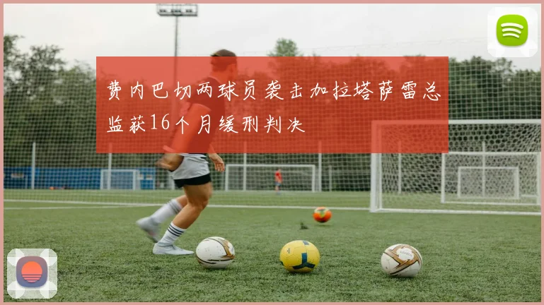 费内巴切两球员袭击加拉塔萨雷总监获16个月缓刑判决